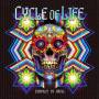 Various - Cycle Of Life