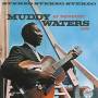 Muddy Waters - At Newport
