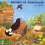 Roche / Sounds Of Nature - Andalusian Walks