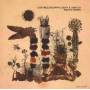 Lisa Mezzacappa / Bait & Switch - What is known