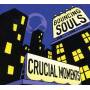 The Bouncing Souls - Crucial Moments (ep)