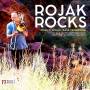 Gale / Rojak / New York Chamber Symphony / Schwarz - Rojak Rocks