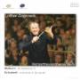 Konzerthausorchester Berlin - In Sommerwind/sinfonie 8
