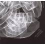 Urs Leimgruber / Evan Parker - Twine