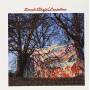 Dando Shaft - Lantaloon