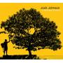jack Johnson - In Between Dreams