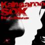 Kangaroo Sox - Mirror Man