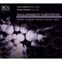 Klaus Feldmann / Martin Haselboeck - Balladesque Variations