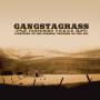 Gangstagrass Featuring T. O. N. E-z -Lightning On The Strings - Lightning On The Strings Thunder