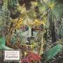 Evan Crankshaw & The Dead Mauriacs - Expedition