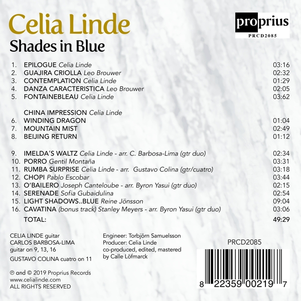 Shades in Blue 1