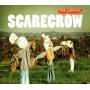 Pillows - Scarecrow