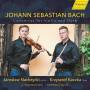 Krzysztof Kaczka - Krysztof Kaczka plays Bach Concerto a minor