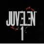 Juvelen - 1