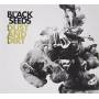 Black Seeds - Dust And Dirt