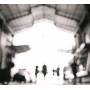 Morphose - The Open Shutter