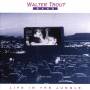 Walter Trout & Band - Life In The Jungle