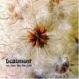 Beaumont - No Time Like The Past