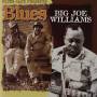 Big Joe Williams - Blues Cafe Presents