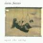 David Friesen - Upon The Swing