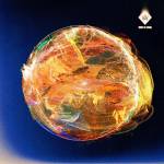 Woods Of Birnam - Solaris