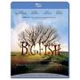 Big Fish / (ws Dol) - Big Fish