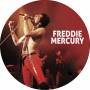 Queen - Freddie Mercury (7 Picture)