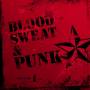 Various - Blood,Sweat & Punk Vol.1
