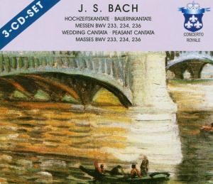Kantaten 202 & 212 (bach, johann Sebastian)