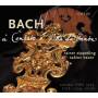 Zipperling / Bauer - Sonaten fr Gambe & Cembalo BWV 1027-1030b