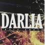 Darlia - Knock Knock Ep