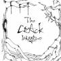 Crack - Mangrove