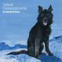 Advance Base - ANIMAL COMPANIONSHIP (Clear Vinyl)