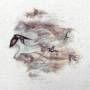 Junius Meyvant - Floating Harmonies (reissue)