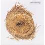 Wilco - A Ghost Is Born