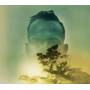 Duquette Johnston - Rabbit Runs A Destiny