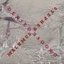 Stephen Malkmus - Groove Denied (LP+MP3)