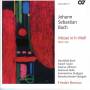 Bernius / Bach / Taylor / Ullmann / Nolte / Kammer - Messe h-moll BWV 232