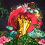Rina Mushonga - In A Galaxy (ltd.ed.pink Vinyl)