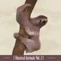 Castanets / Dirty Projectors - Unusual Animals Vol.2