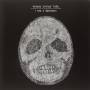 Bonnie Prince Billy - I See A Darkness