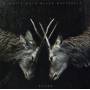 White Moth Black Butterfly - Atone