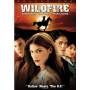 Wildfire: Season 1 (4pc) - Wildfire: Season 1 [US-Version, Regio 1]