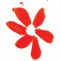 Flowers - Joanna