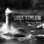 Soul Asylum - The Silver Lining (Ltd. 2LP Black Vinyl Gatefold)