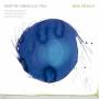 Martin Fabricius Trio - New World