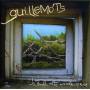 Guillemots - Through The Window Pane