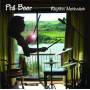 Phil Beer - Rhythm Methodist