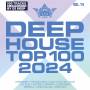 Various - Deephouse Top 100 2024 (Vol. 14)