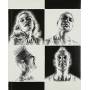 No Doubt - Push & Shove